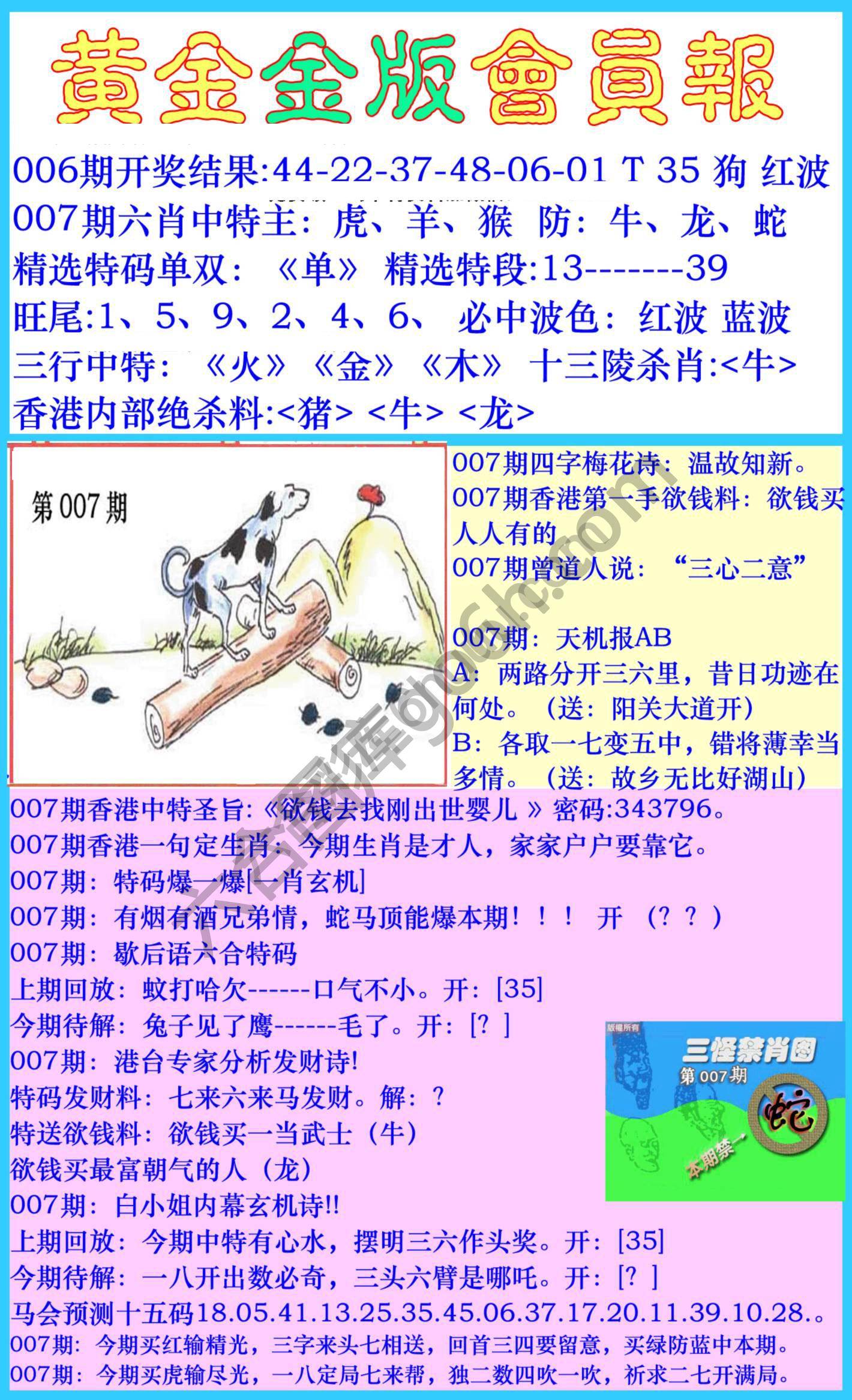 黄金金版会员报