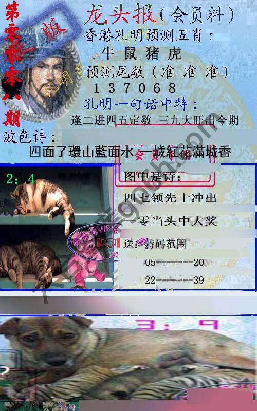 龙头报