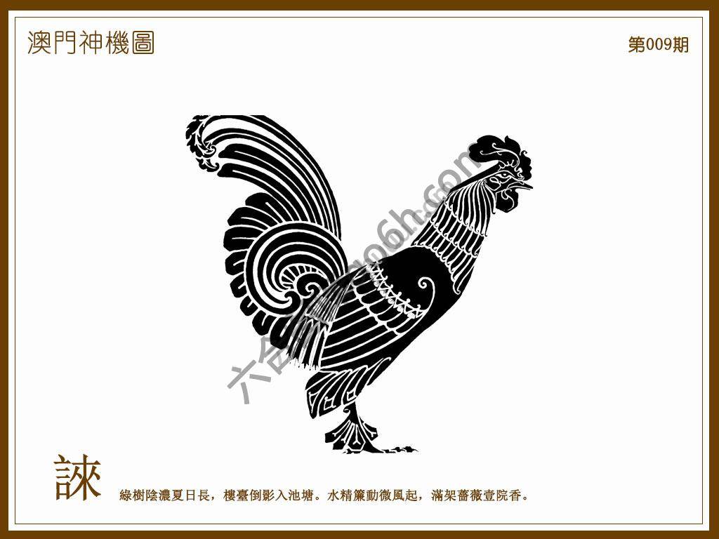澳门神机图