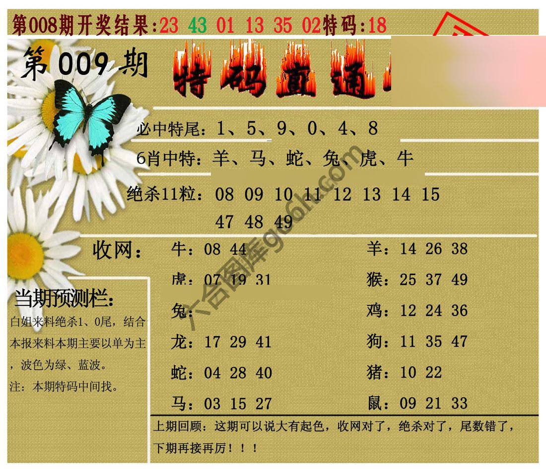 特码直通车