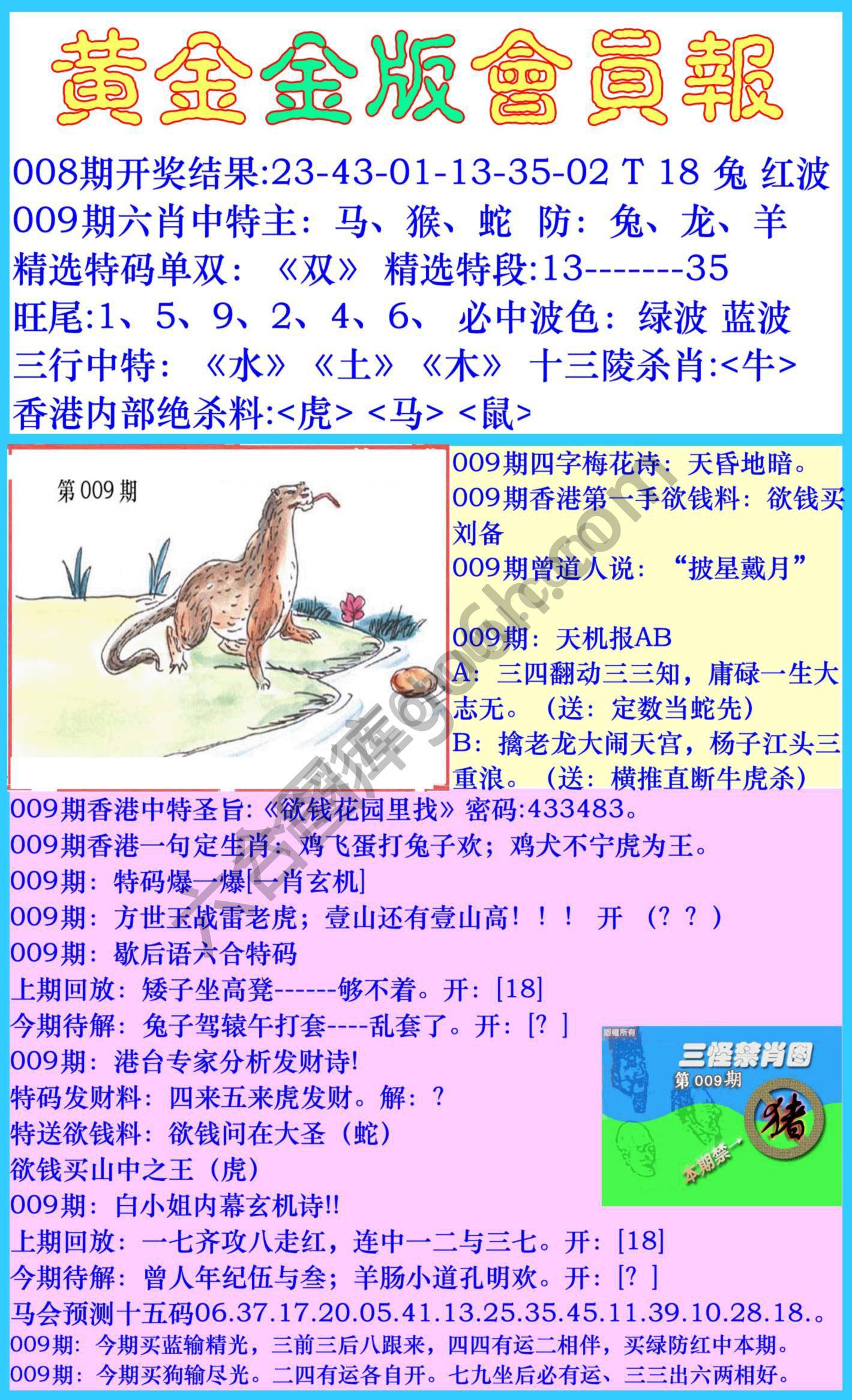 黄金金版会员报