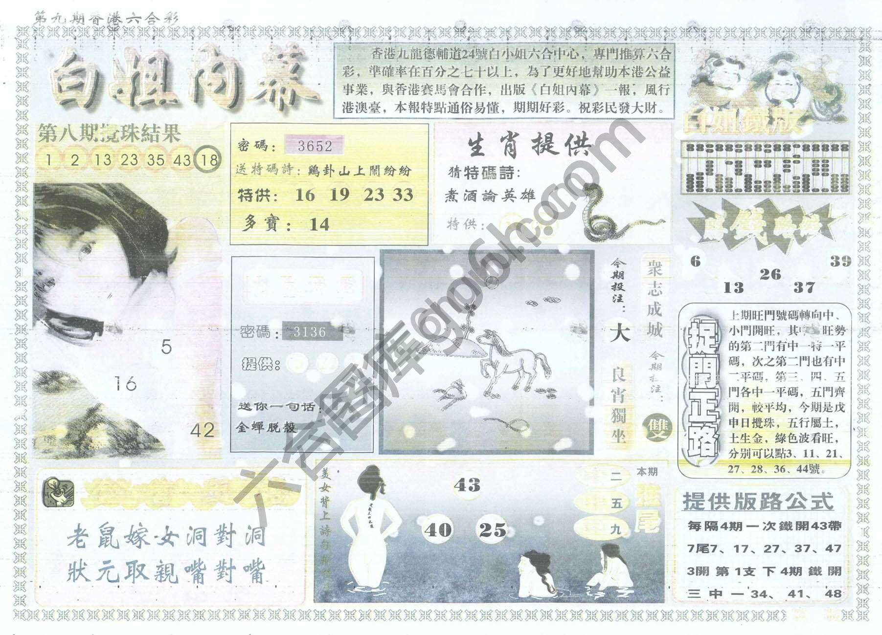 白姐内幕
