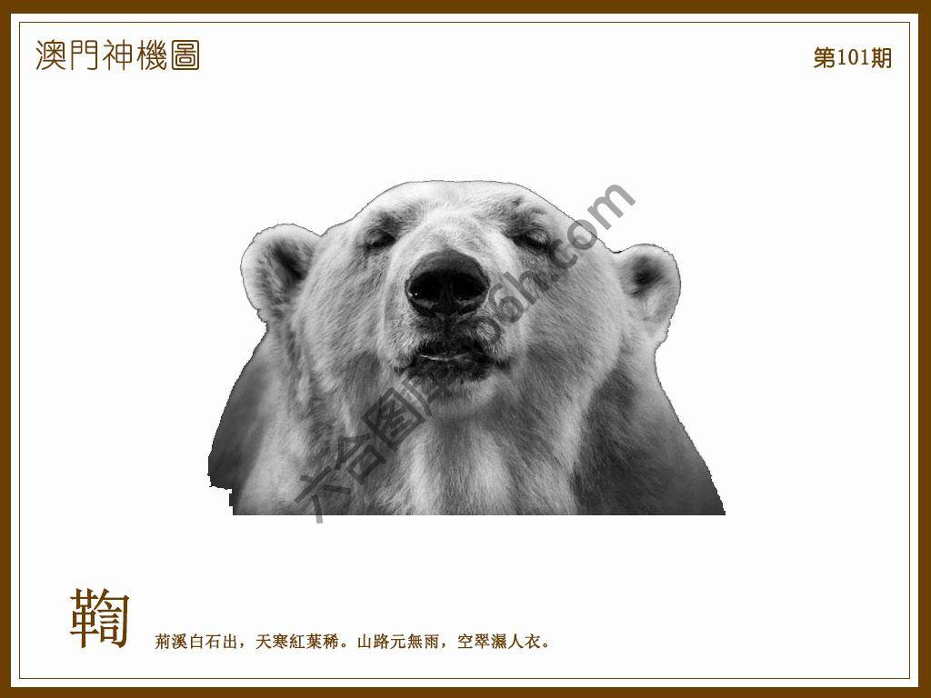 澳门神机图
