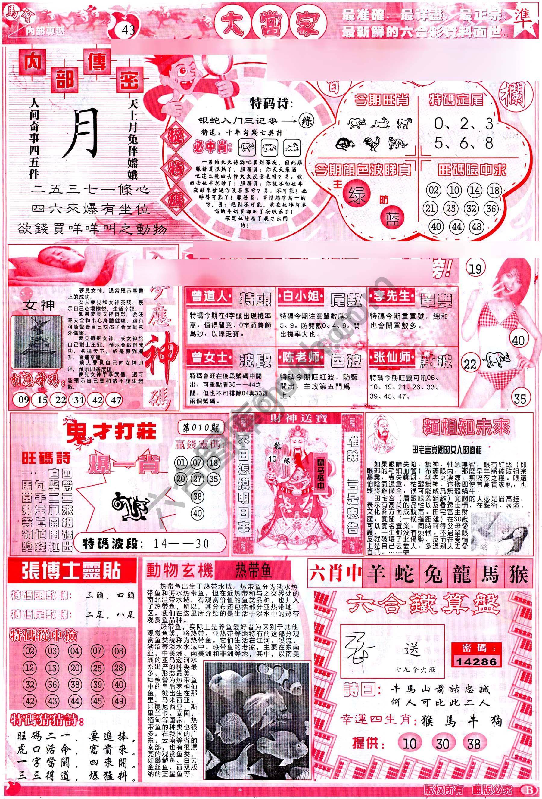 识破玄机