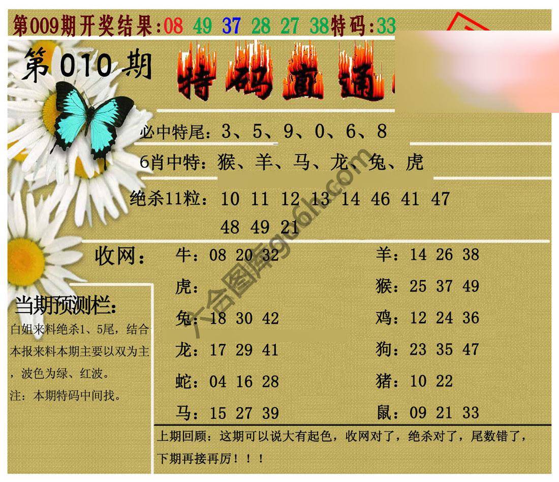特码直通车