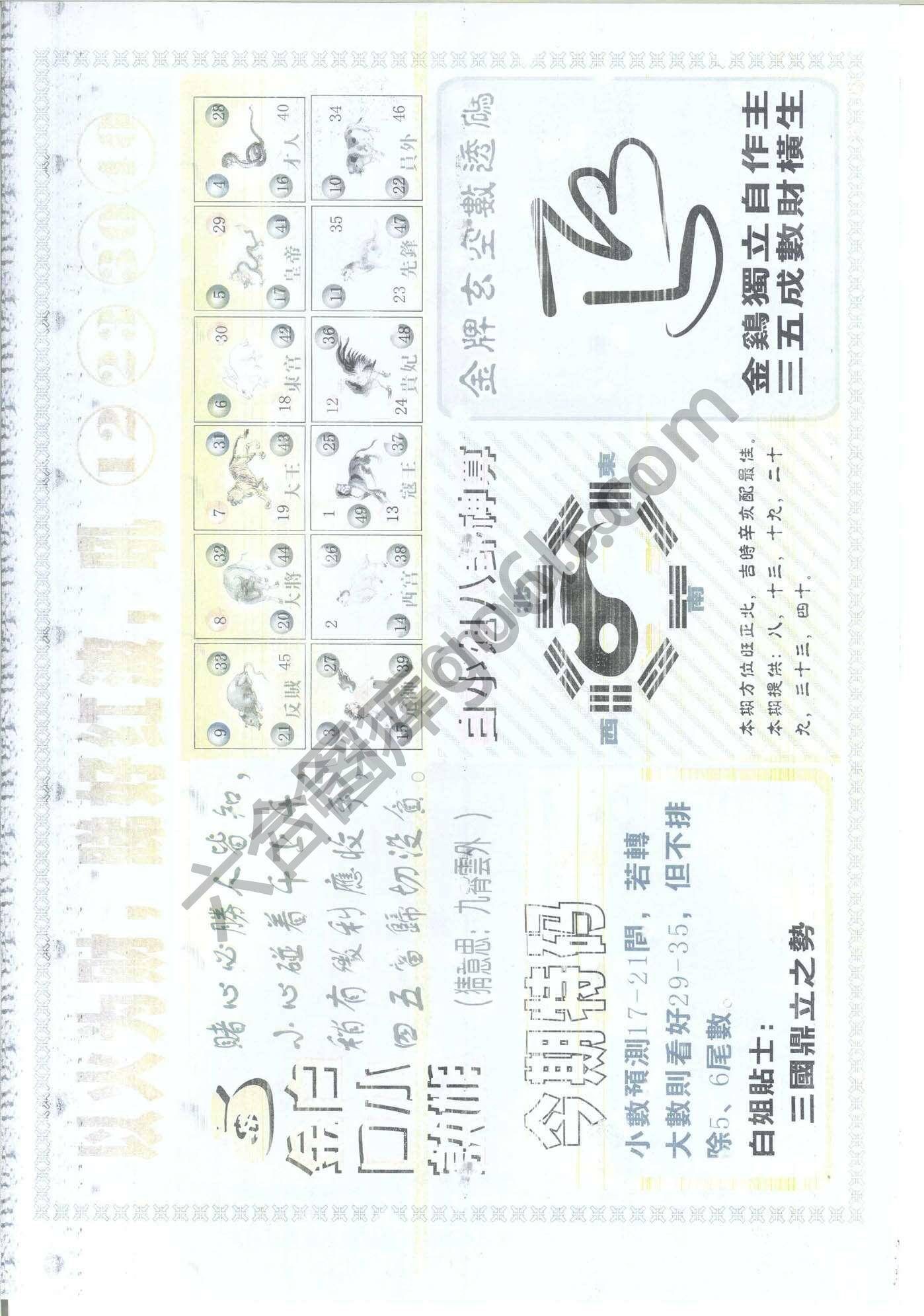 白姐内幕