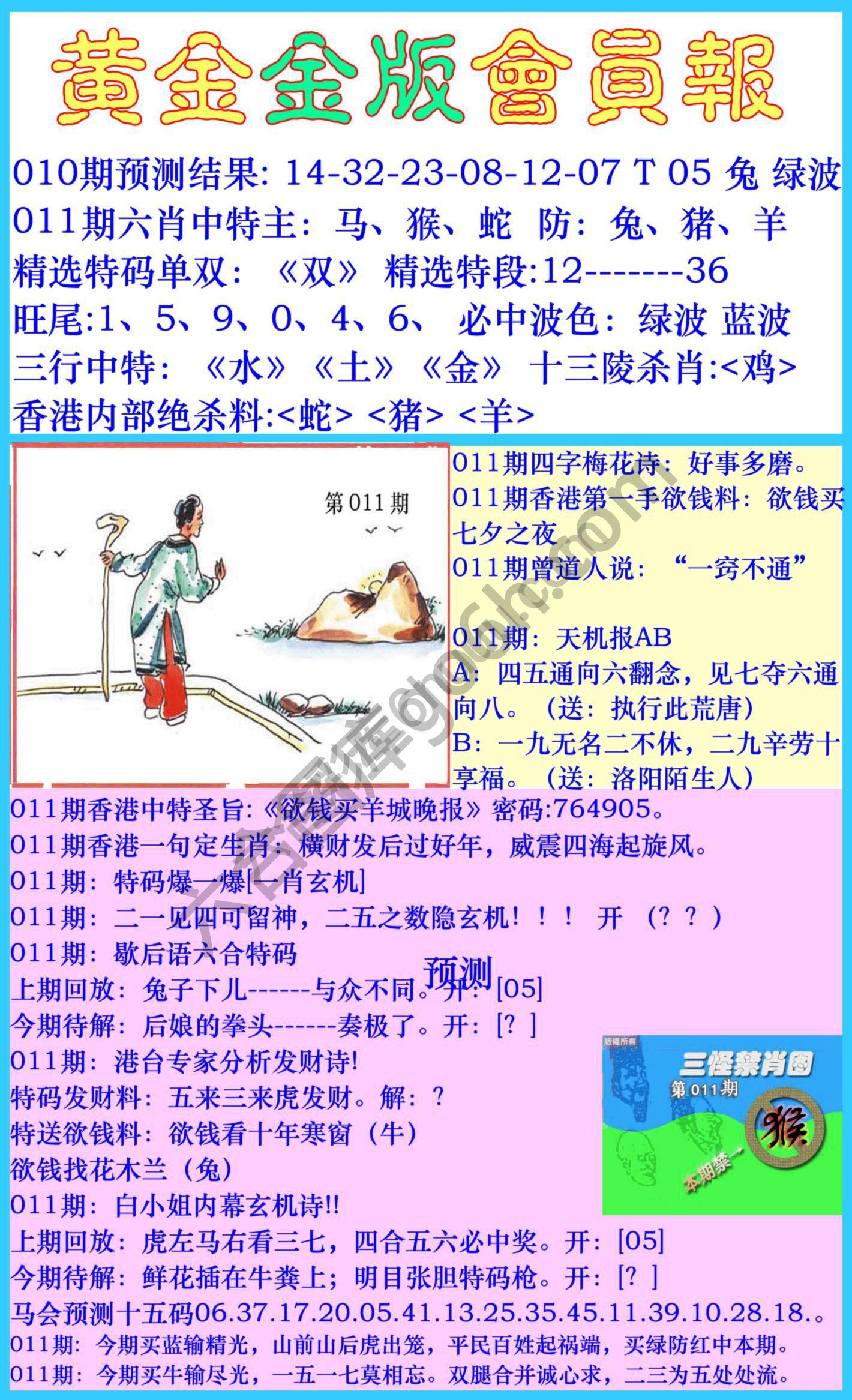 黄金金版会员报