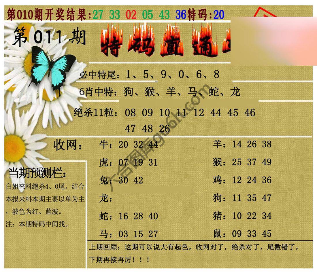 特码直通车