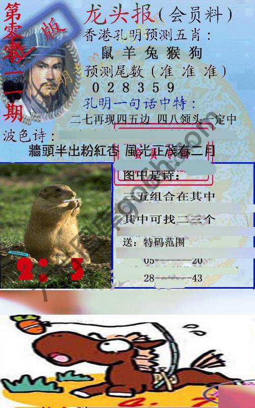 龙头报