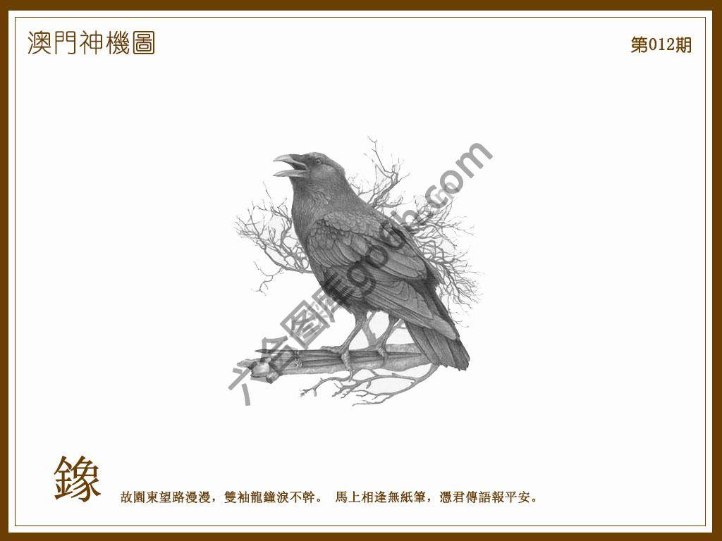 澳门神机图