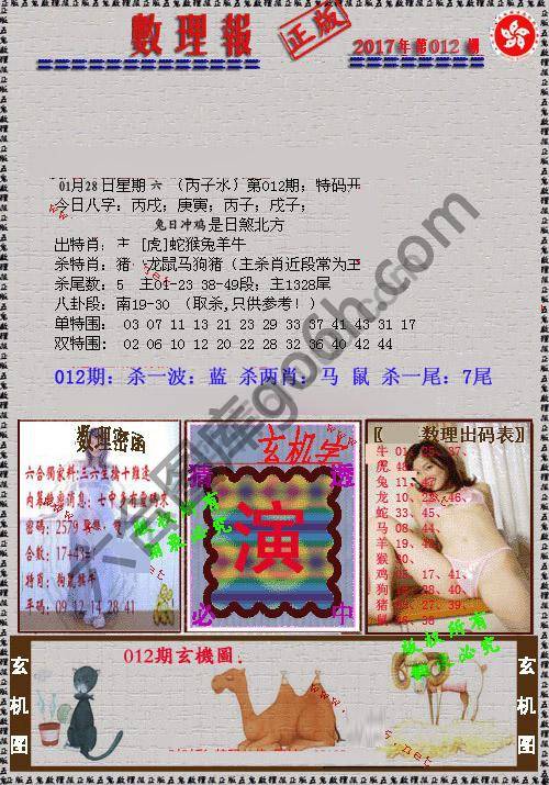 数理报