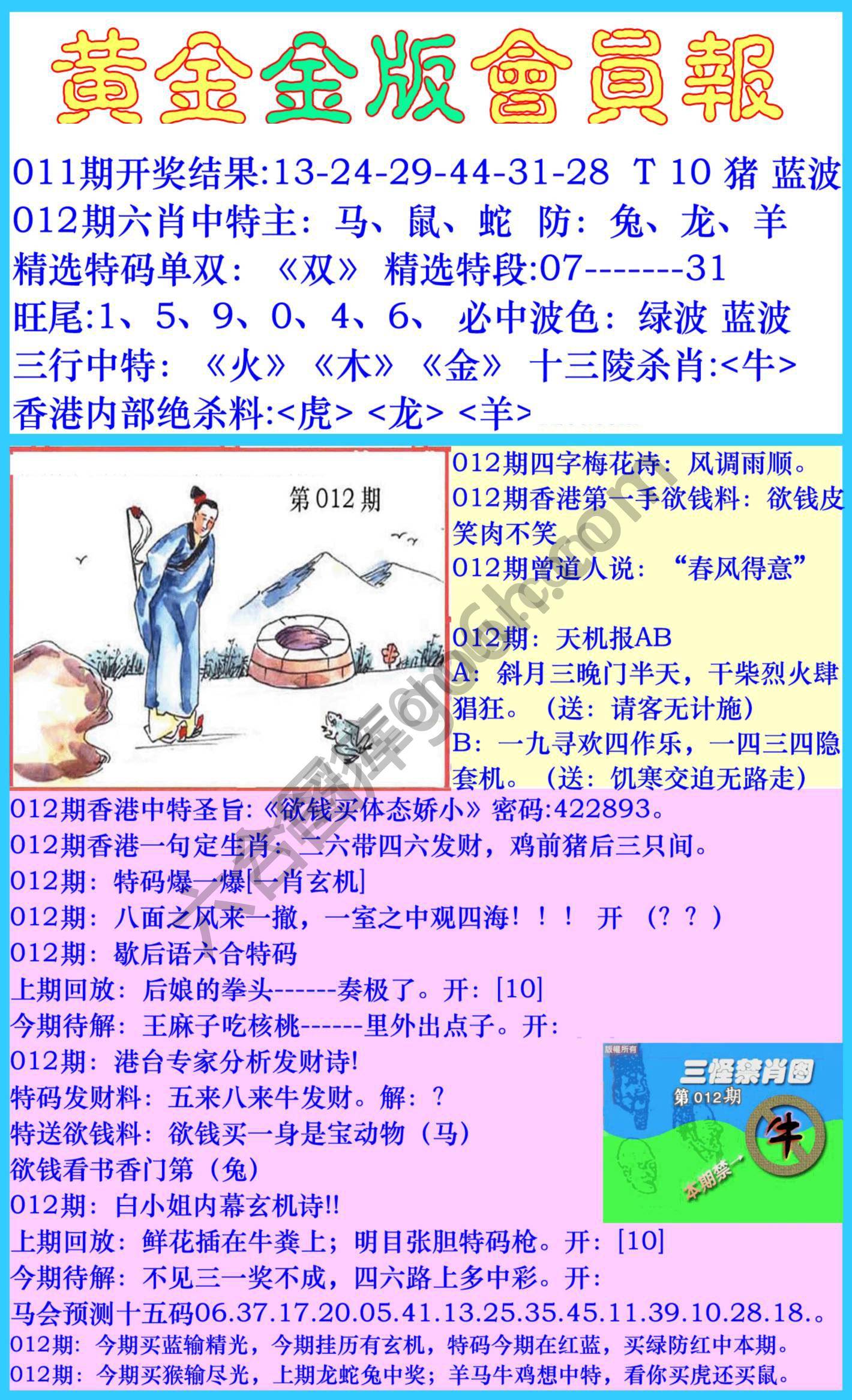 黄金金版会员报