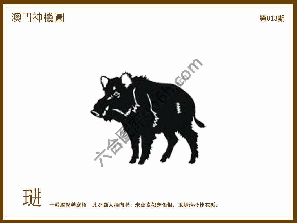 澳门神机图