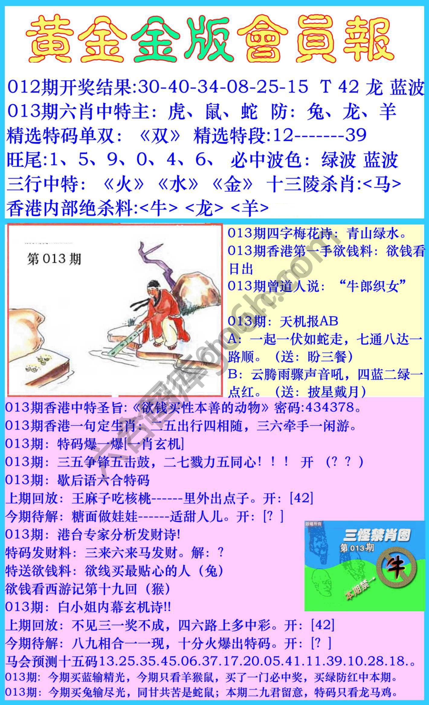 黄金金版会员报