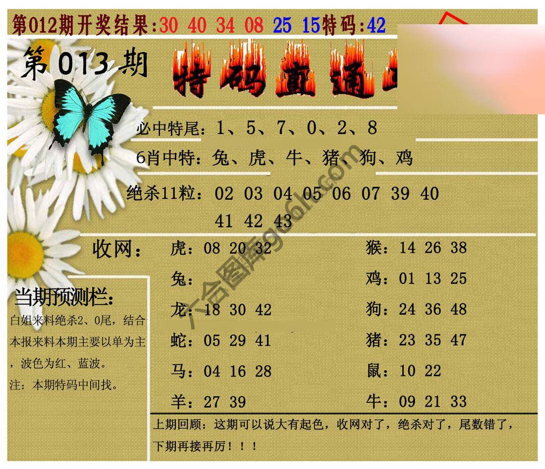 特码直通车