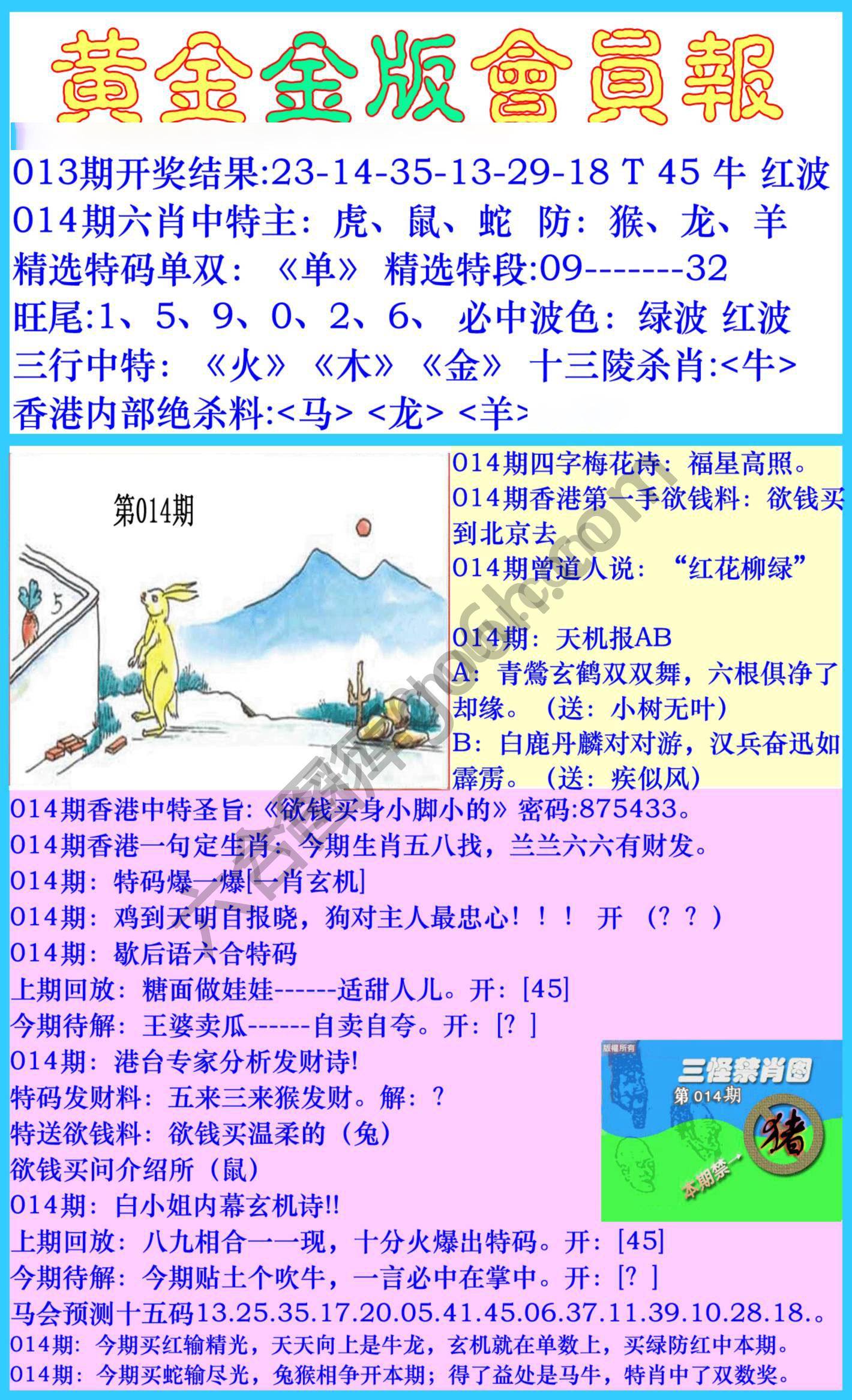 黄金金版会员报