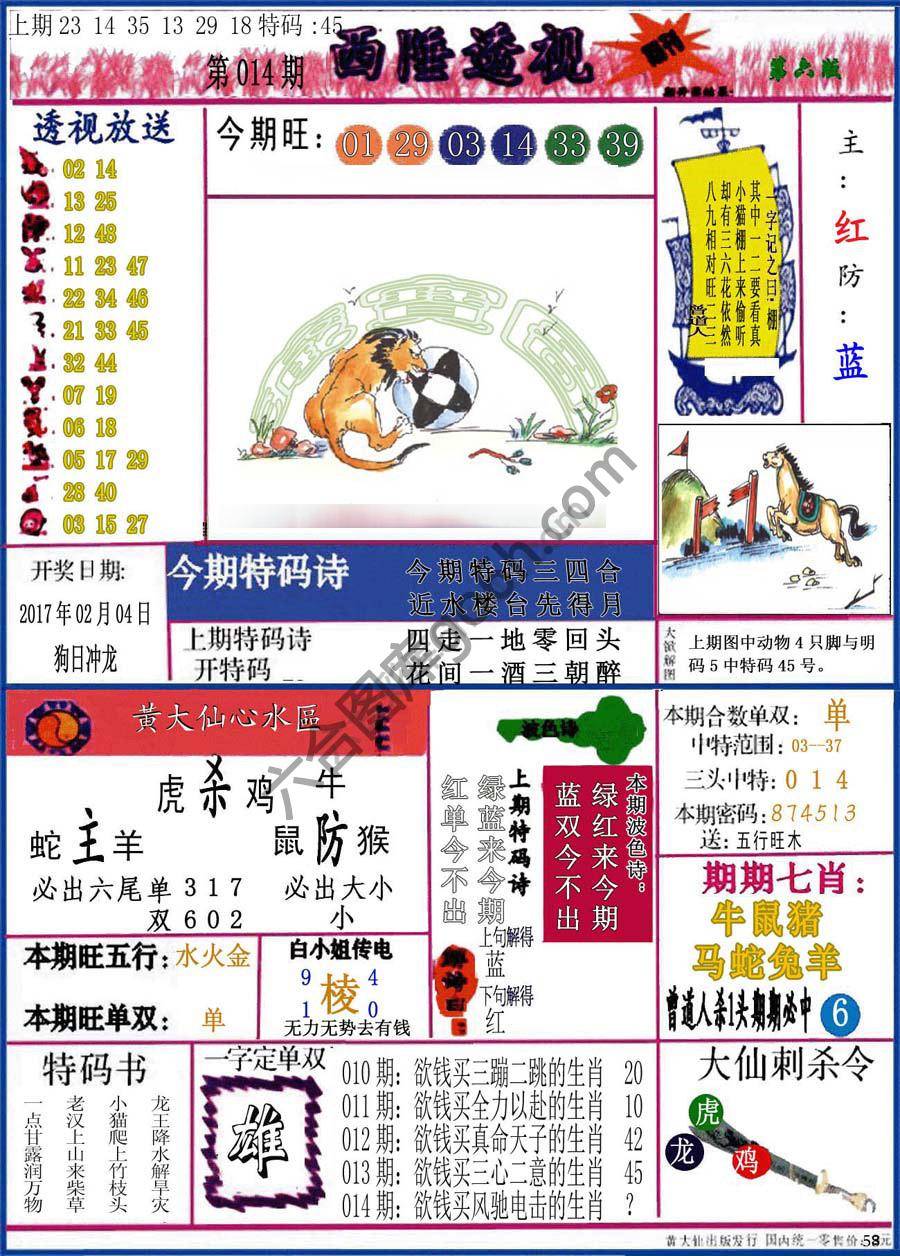 西陲透视（正版）