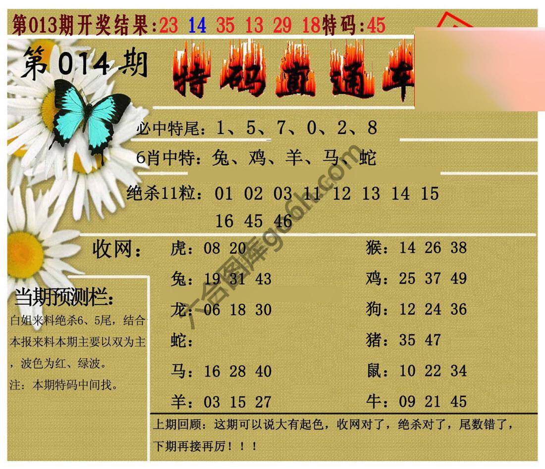 特码直通车