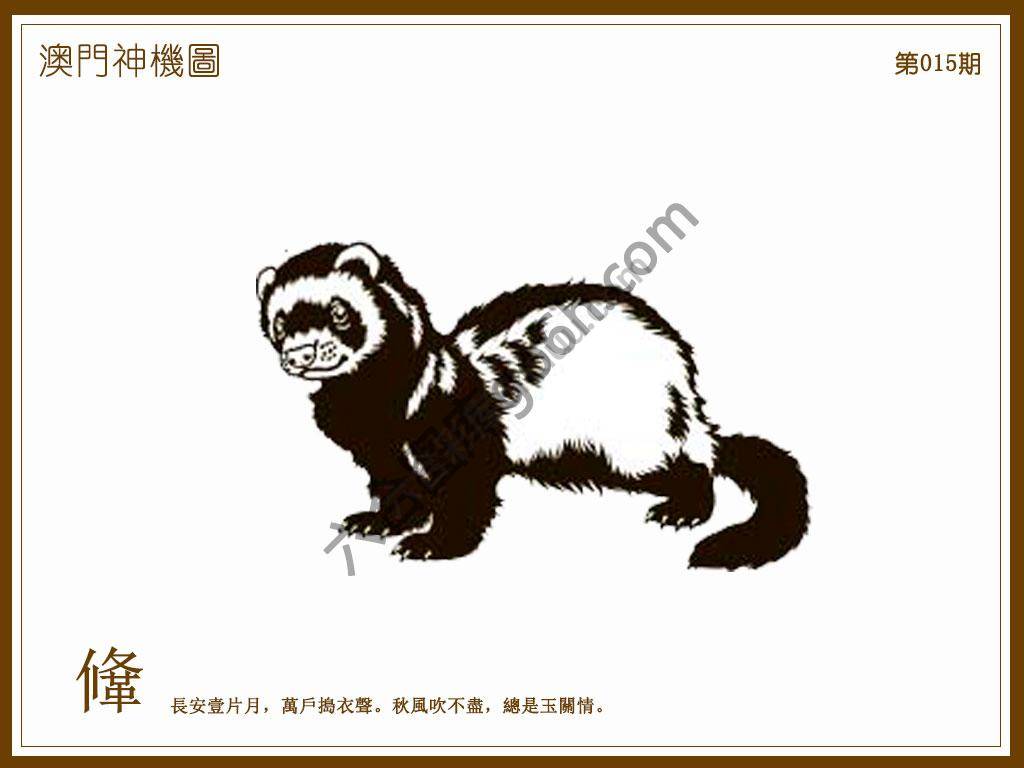 澳门神机图