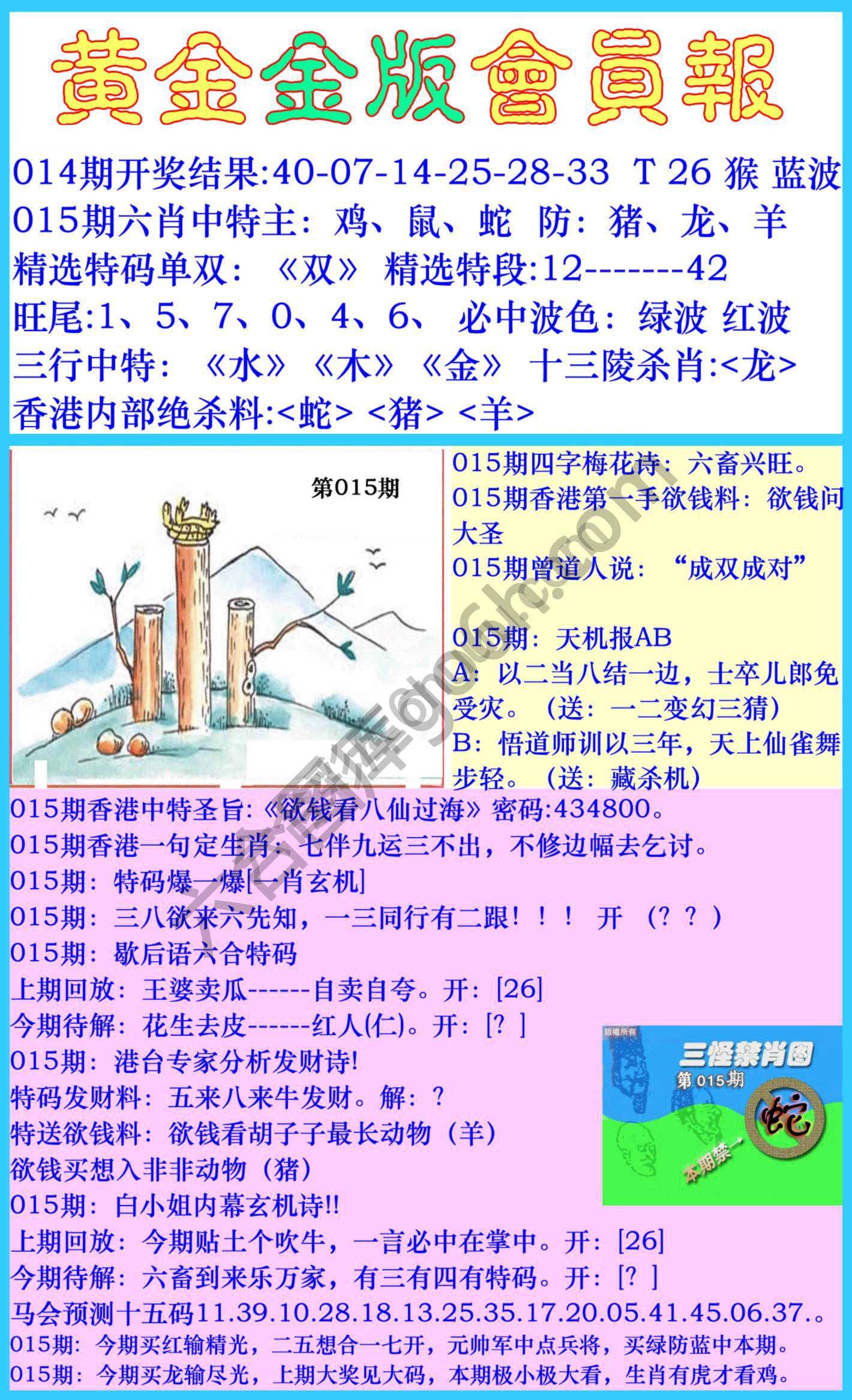 黄金金版会员报