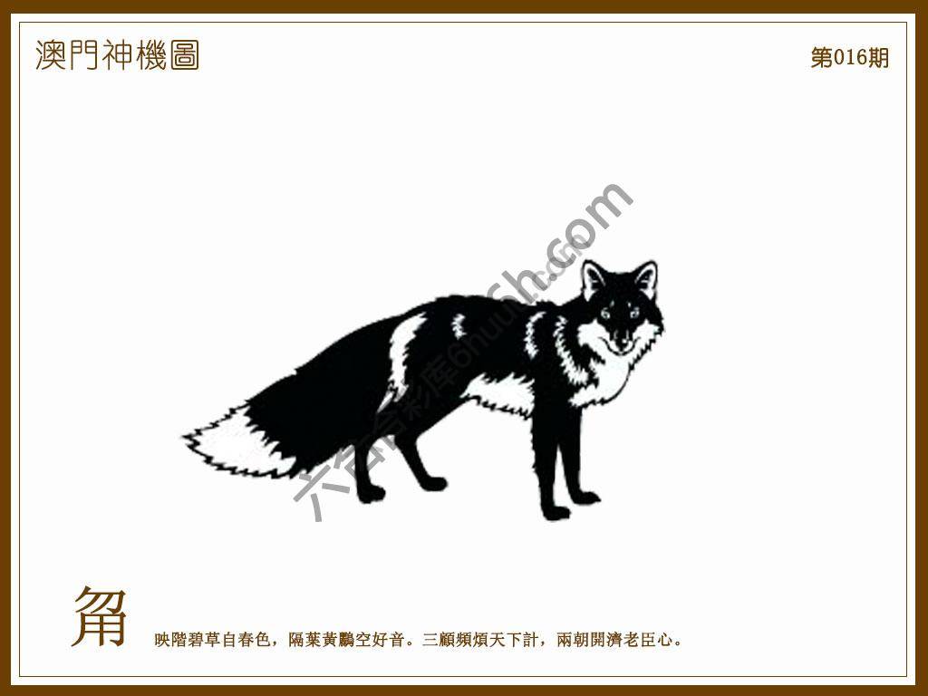 澳门神机图