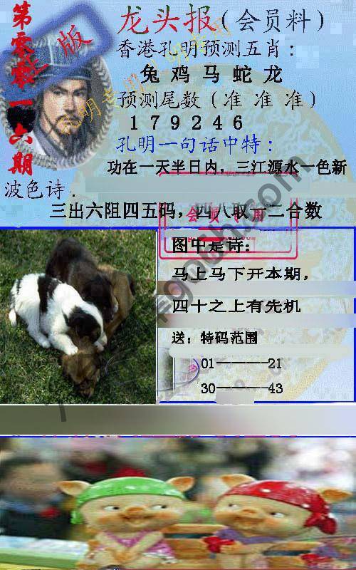 龙头报