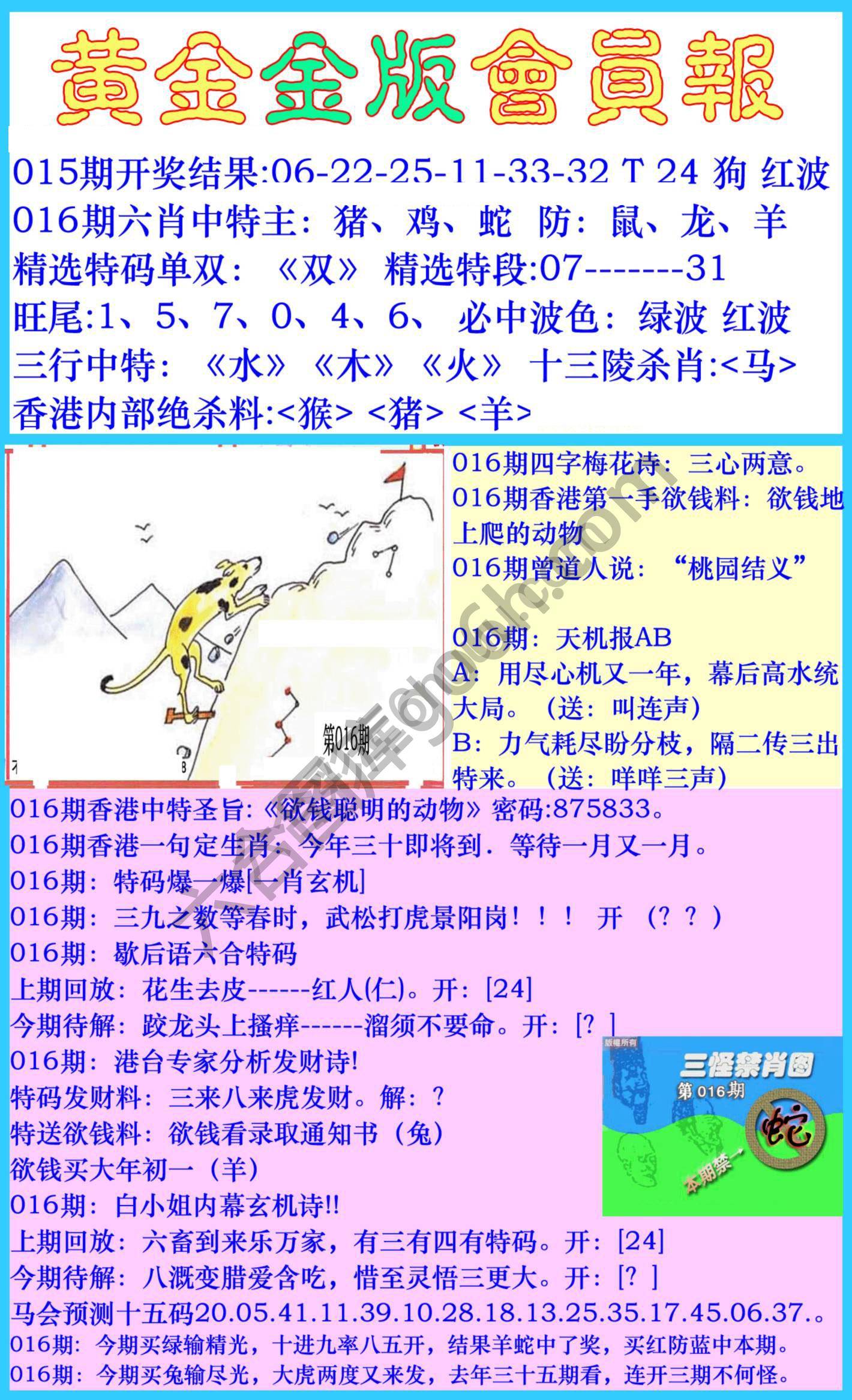 黄金金版会员报