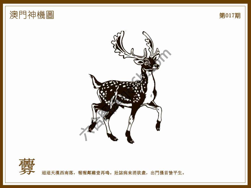 澳门神机图