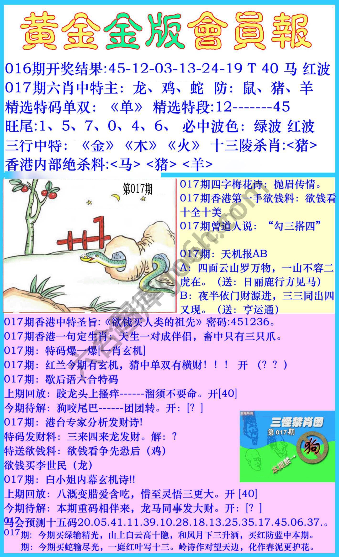 黄金金版会员报