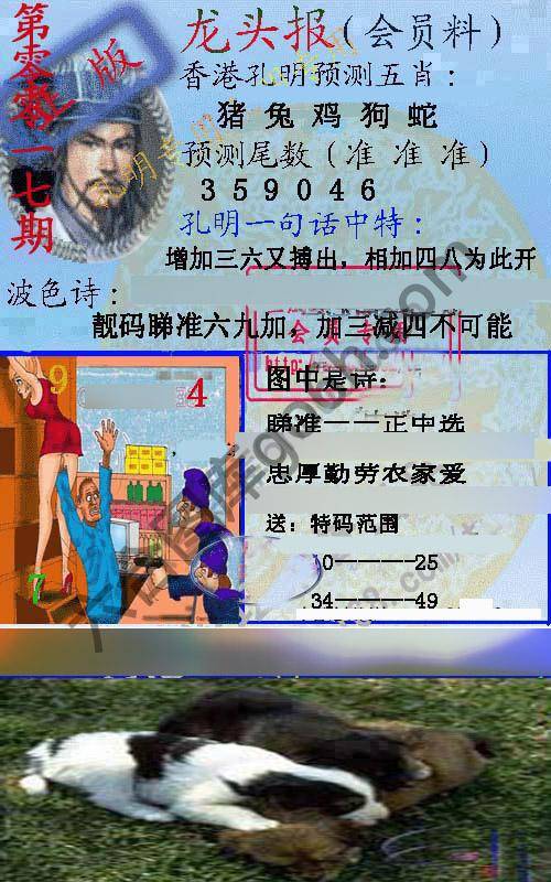龙头报