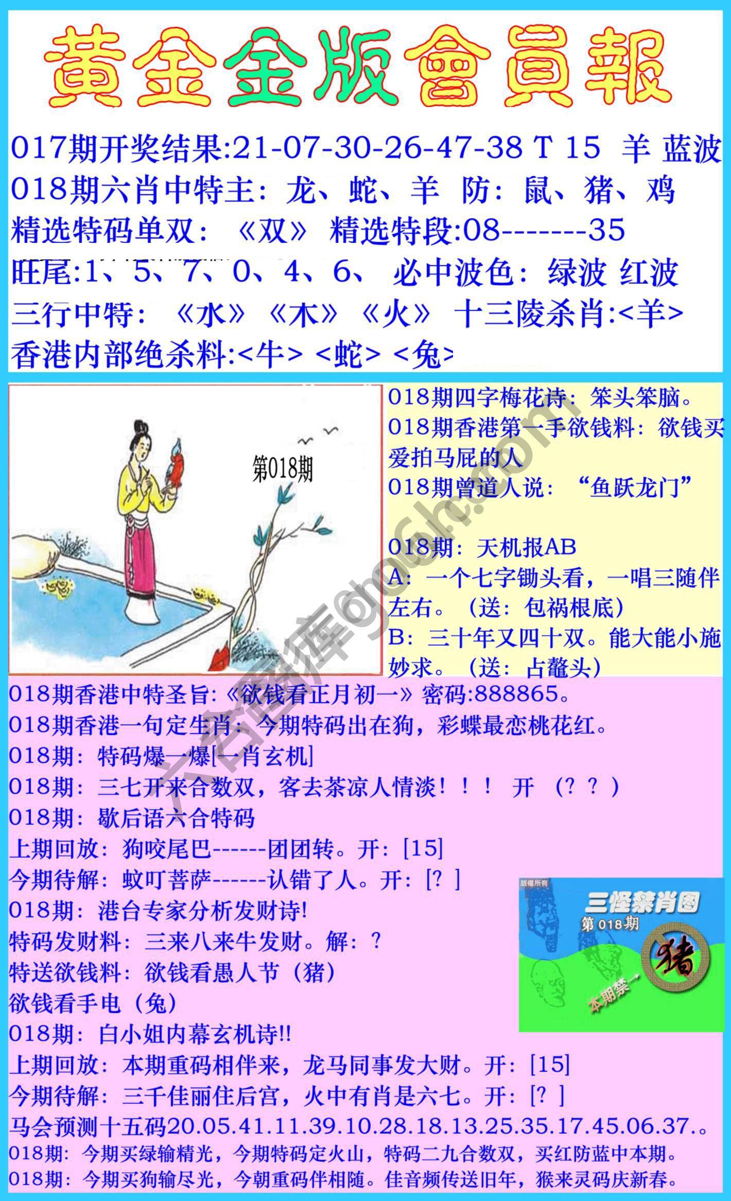 黄金金版会员报