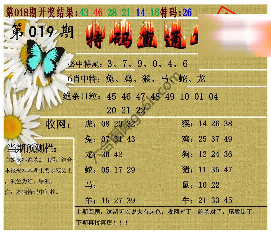 特码直通车