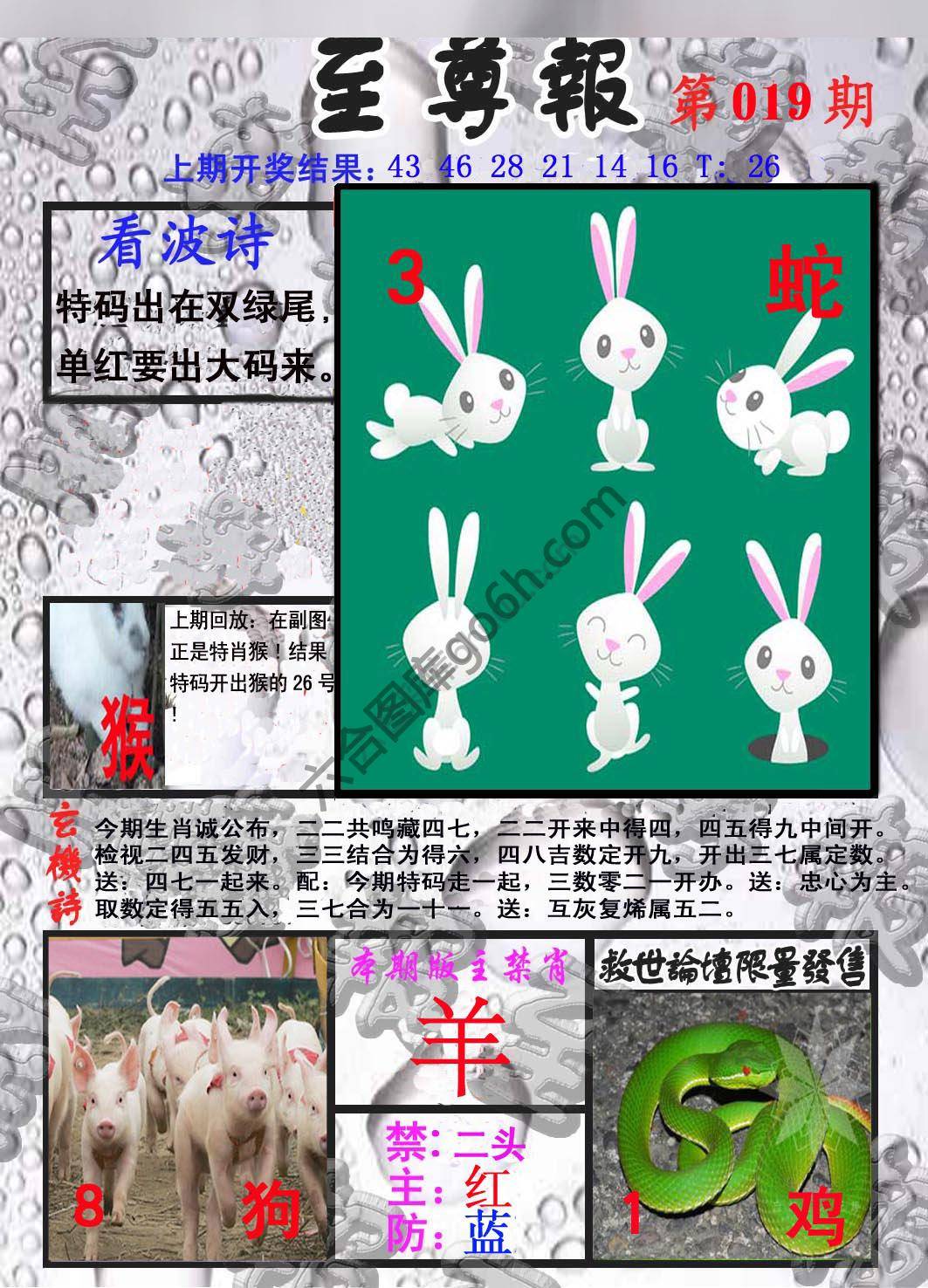 至尊报