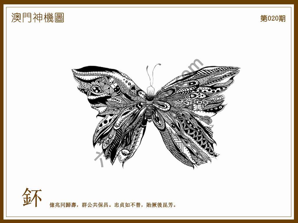 澳门神机图