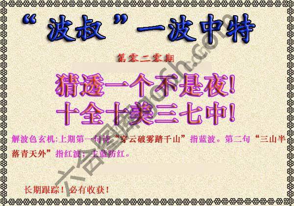 波叔一波中特