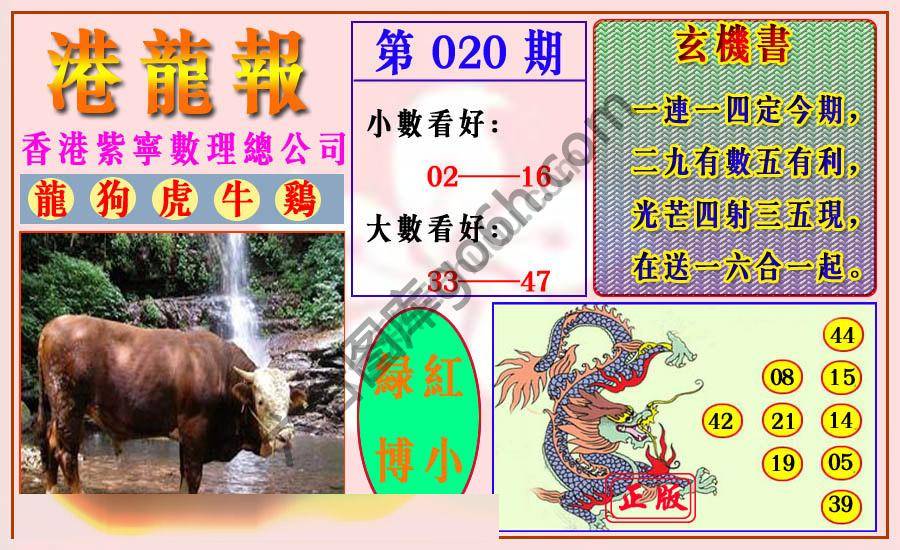 港龙报