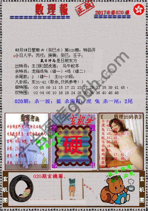 数理报