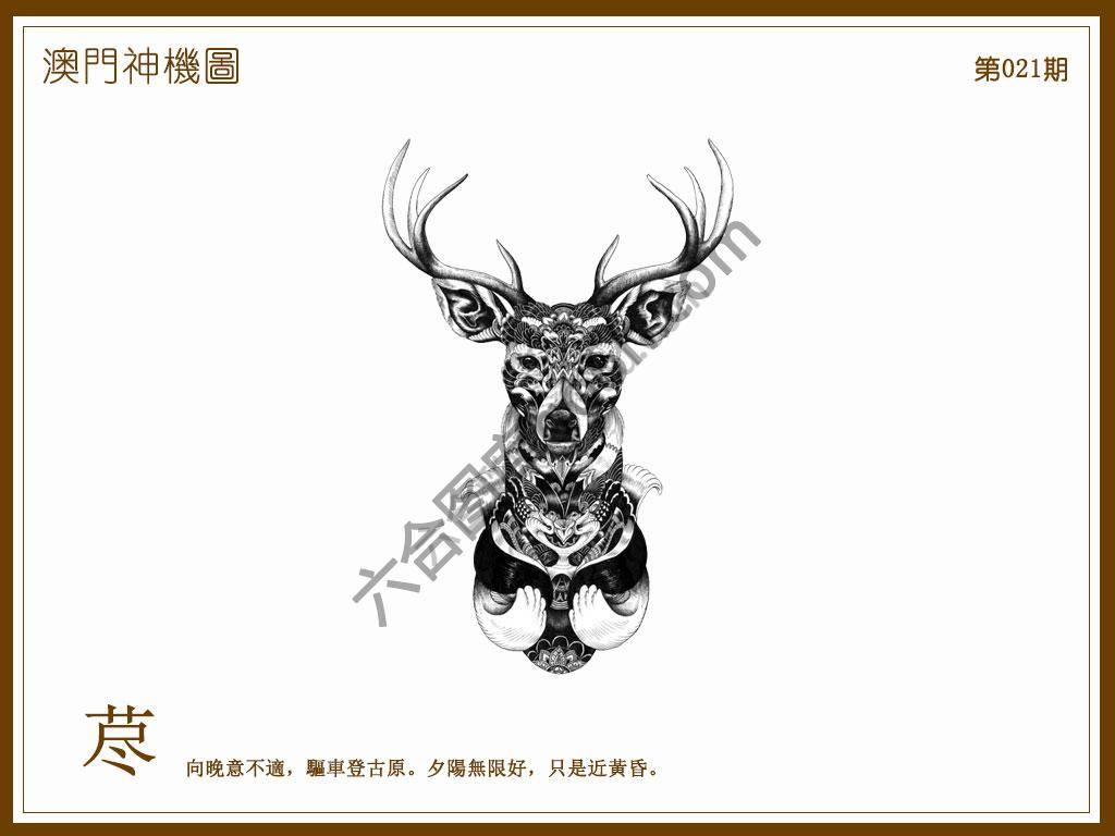澳门神机图