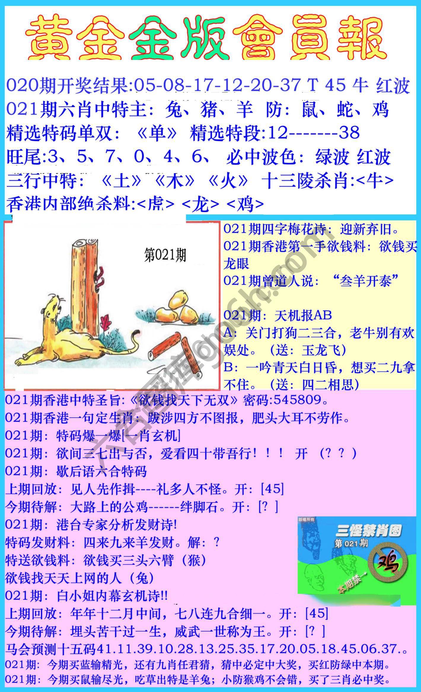 黄金金版会员报