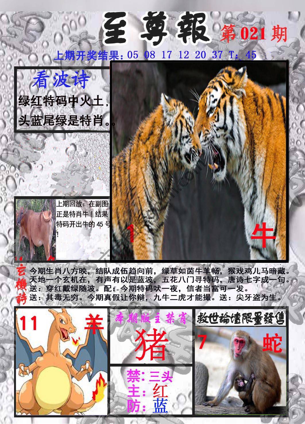至尊报