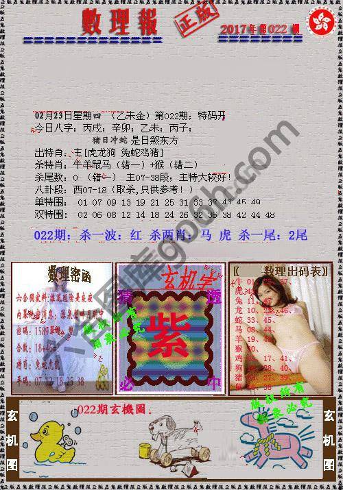 数理报