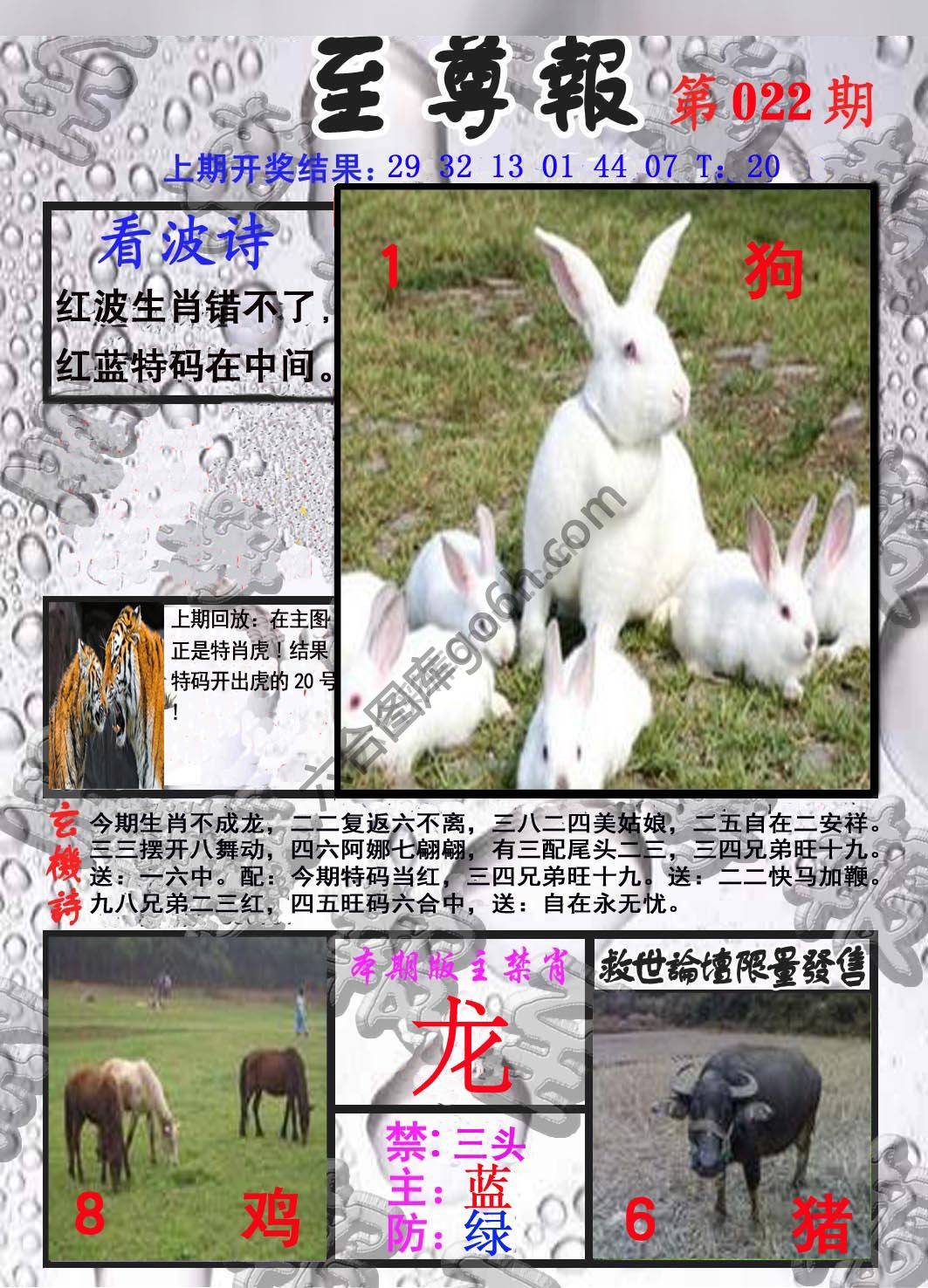 至尊报