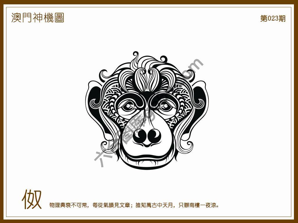 澳门神机图