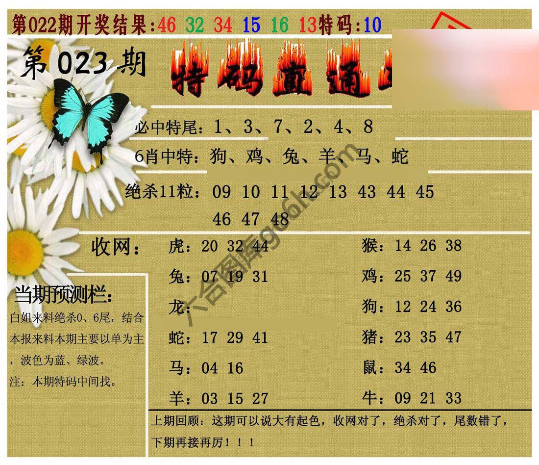 特码直通车