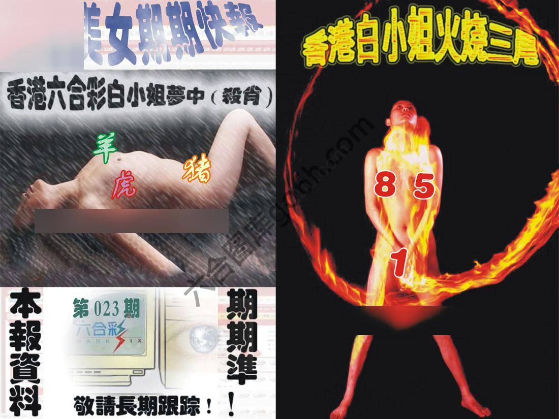 环球美女特码报