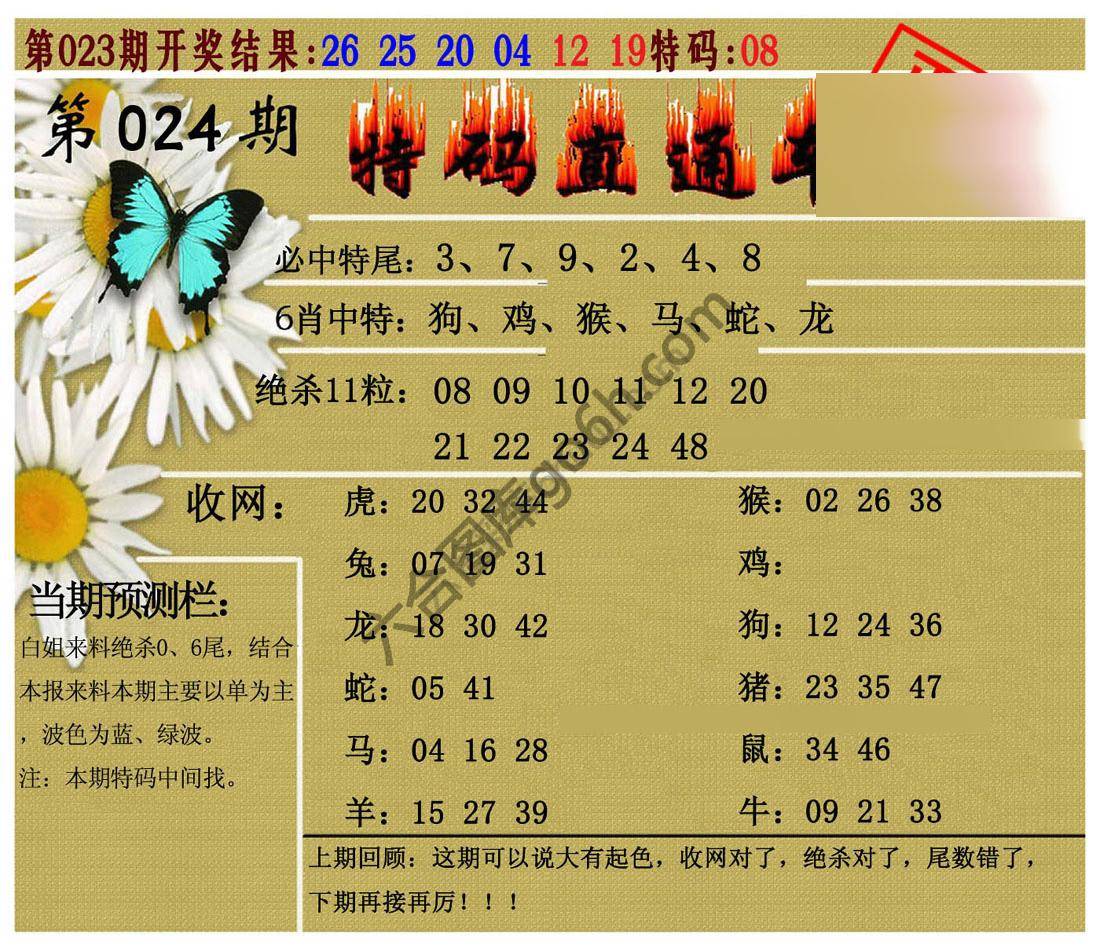 特码直通车
