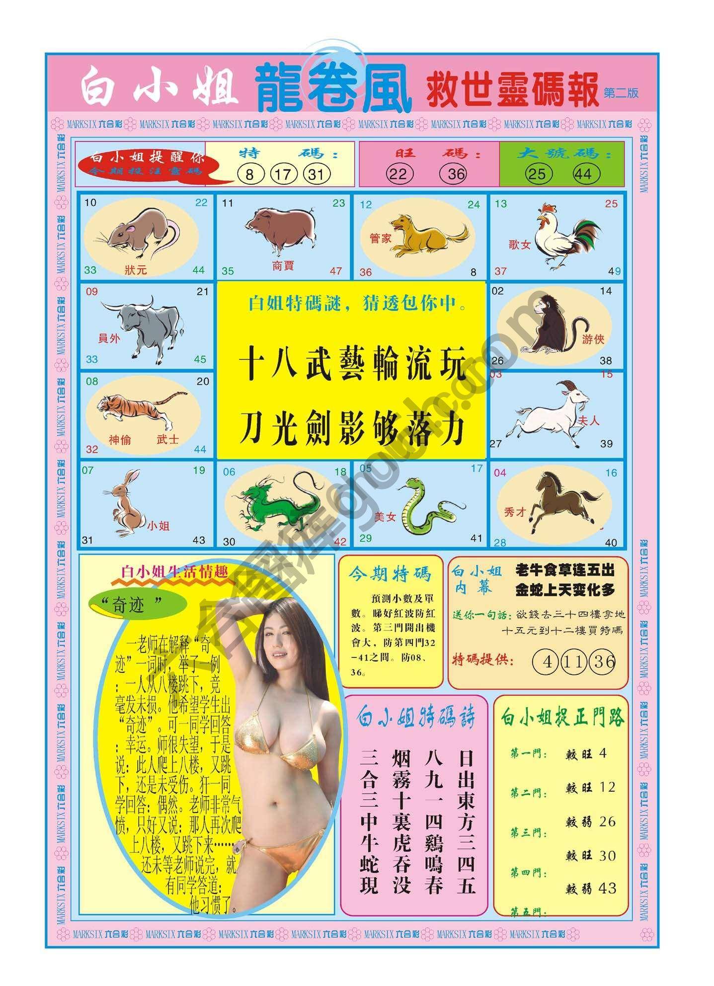 白小姐龙卷风