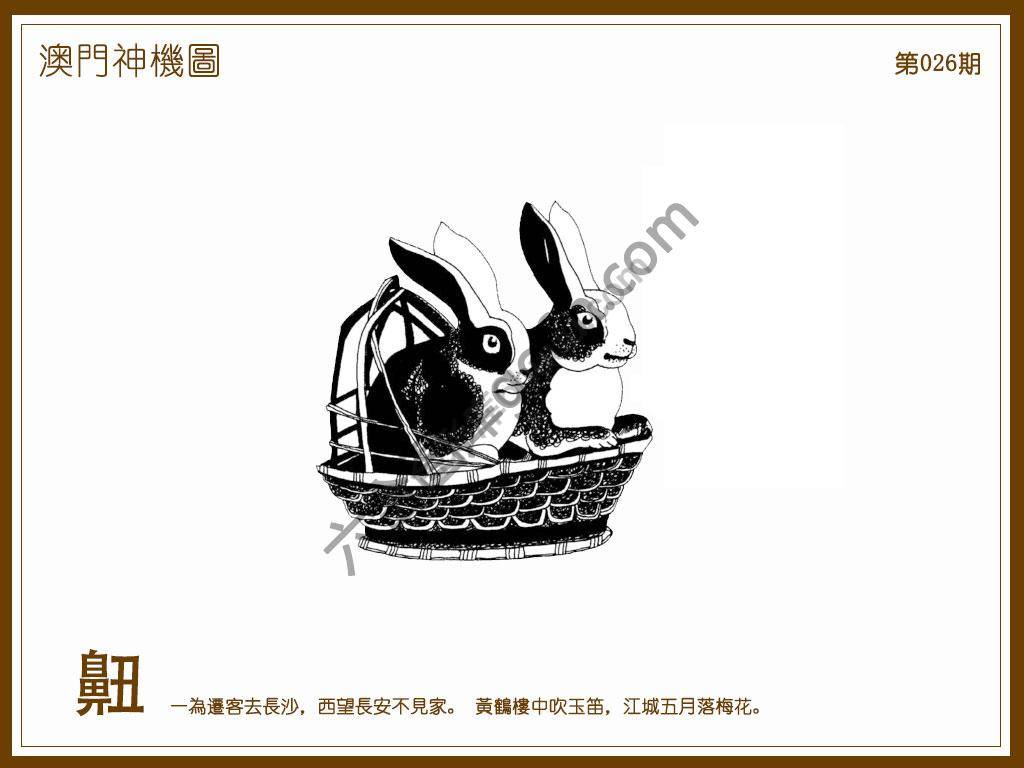 澳门神机图