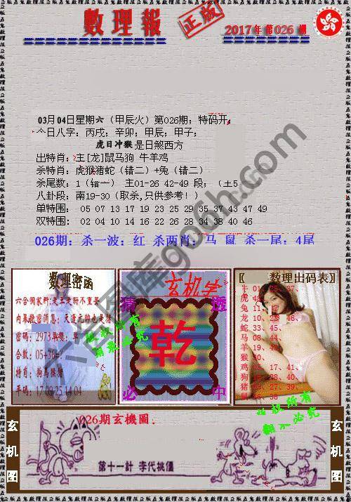 数理报