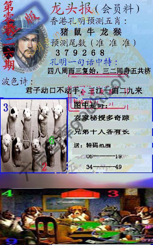 龙头报
